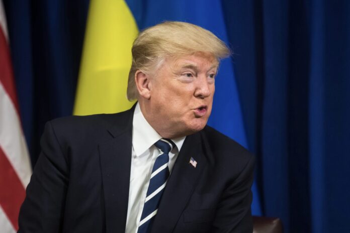President of the United States Donald Trump